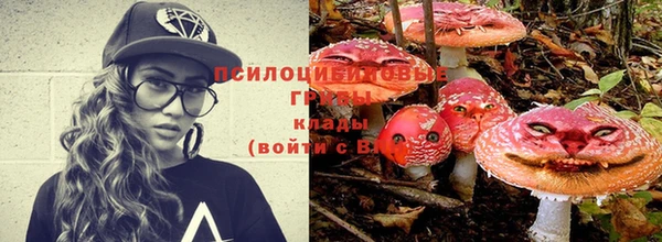 ПСИЛОЦИБИНОВЫЕ ГРИБЫ Абаза