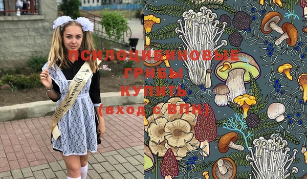 спайс Алзамай