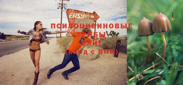 спайс Алзамай