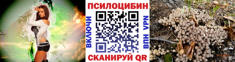 Псилоцибиновые грибы MAGIC MUSHROOMS Дербент